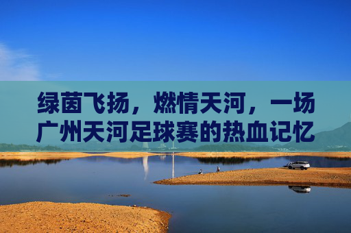绿茵飞扬，燃情天河，一场广州天河足球赛的热血记忆