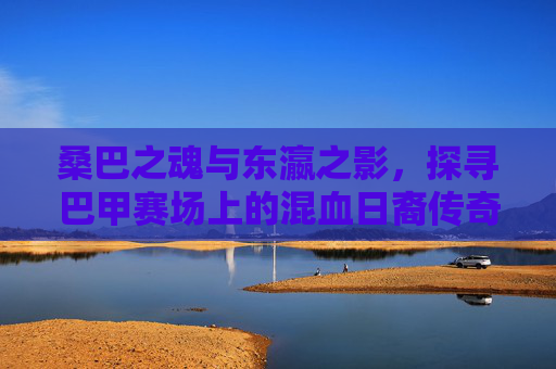 桑巴之魂与东瀛之影，探寻巴甲赛场上的混血日裔传奇