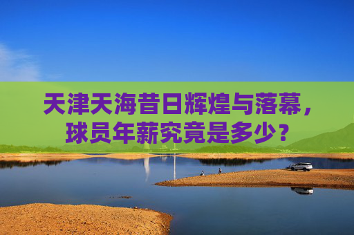天津天海昔日辉煌与落幕，球员年薪究竟是多少？