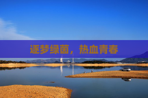 逐梦绿茵，热血青春