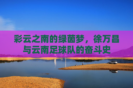彩云之南的绿茵梦，徐万昌与云南足球队的奋斗史