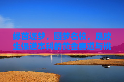 绿茵逐梦，圆梦名校，足球生保送本科的黄金赛道与挑战