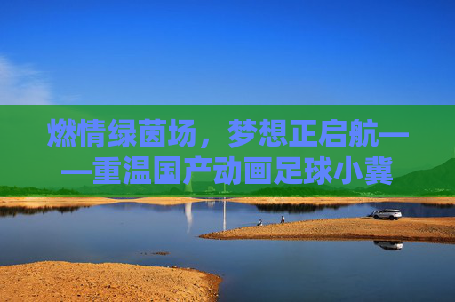 燃情绿茵场，梦想正启航——重温国产动画足球小冀