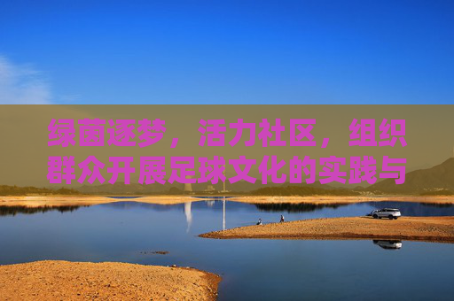 绿茵逐梦，活力社区，组织群众开展足球文化的实践与思考