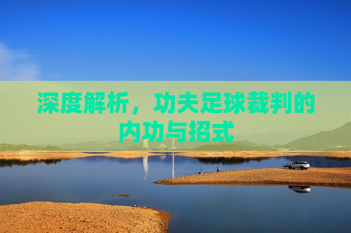 深度解析，功夫足球裁判的内功与招式