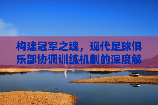 构建冠军之魂，现代足球俱乐部协调训练机制的深度解析