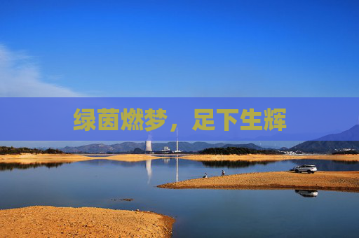 绿茵燃梦，足下生辉