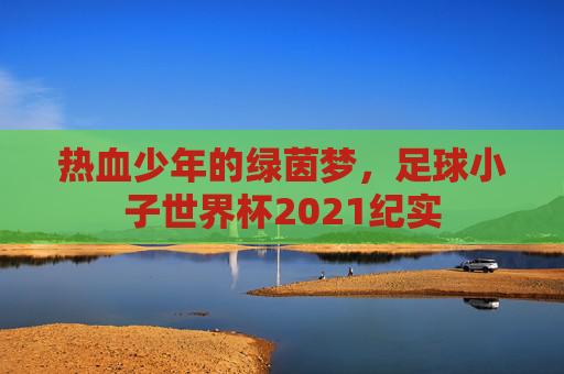 热血少年的绿茵梦，足球小子世界杯2021纪实