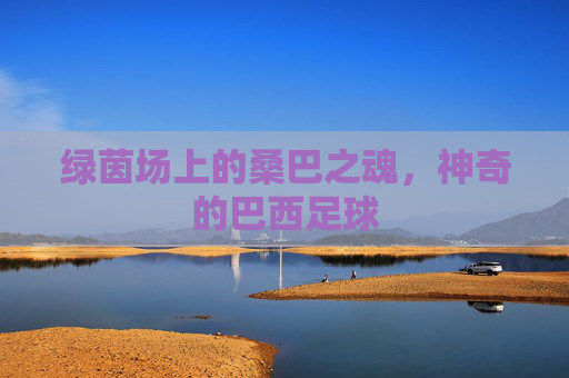 绿茵场上的桑巴之魂，神奇的巴西足球