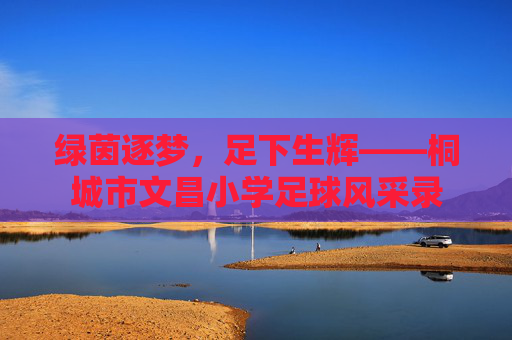 绿茵逐梦，足下生辉——桐城市文昌小学足球风采录