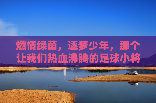燃情绿茵，逐梦少年，那个让我们热血沸腾的足球小将选拔图标