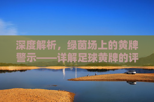深度解析，绿茵场上的黄牌警示——详解足球黄牌的评判标准