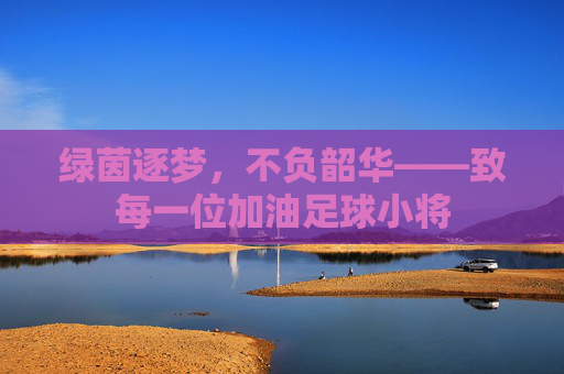 绿茵逐梦，不负韶华——致每一位加油足球小将
