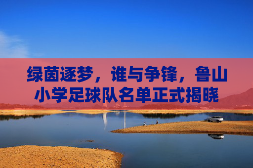 绿茵逐梦，谁与争锋，鲁山小学足球队名单正式揭晓
