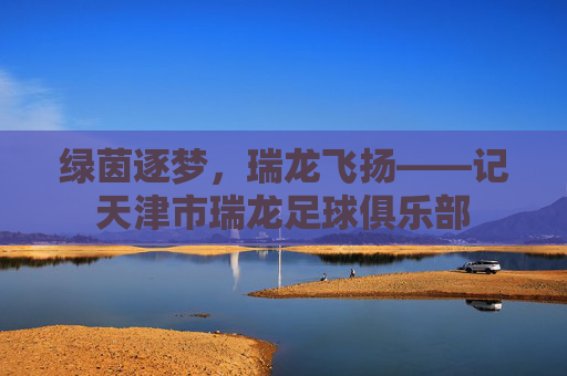 绿茵逐梦,瑞龙飞扬——记天津市瑞龙足球俱乐部