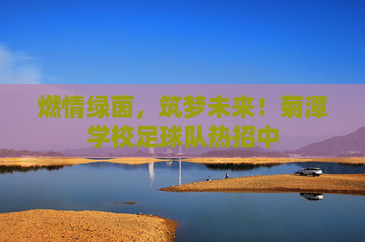 燃情绿茵,筑梦未来!菊潭学校足球队热招中