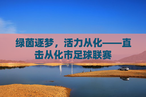 绿茵逐梦,活力从化——直击从化市足球联赛