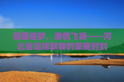 绿茵逐梦,激情飞扬——河北省足球联赛的荣耀时刻