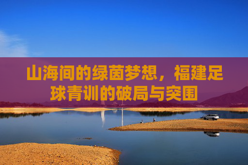 山海间的绿茵梦想,福建足球青训的破局与突围