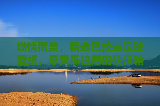 燃情南美,精选巴拉圭足球壁纸,感受瓜拉尼的硬汉精神