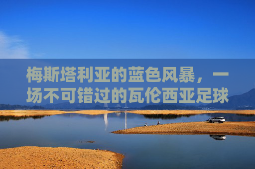 梅斯塔利亚的蓝色风暴,一场不可错过的瓦伦西亚足球赛