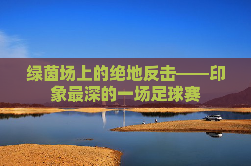 绿茵场上的绝地反击——印象最深的一场足球赛