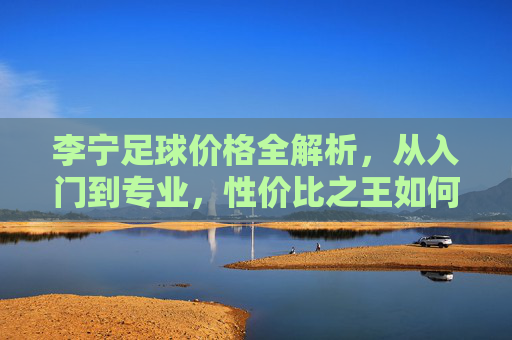 李宁足球价格全解析,从入门到专业,性价比之王如何定义?