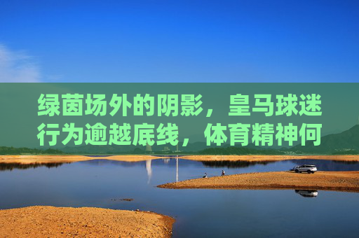 绿茵场外的阴影,皇马球迷行为逾越底线,体育精神何在?