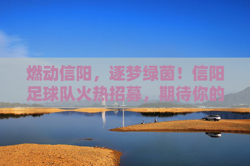 燃动信阳,逐梦绿茵!信阳足球队火热招募,期待你的加入!