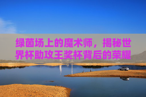 绿茵场上的魔术师,揭秘世界杯助攻王奖杯背后的荣耀与传奇