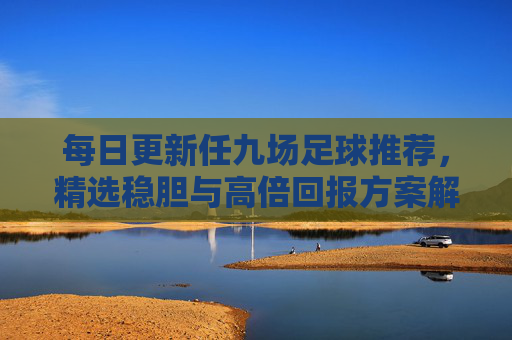 每日更新任九场足球推荐,精选稳胆与高倍回报方案解析