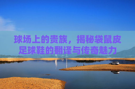 球场上的贵族，揭秘袋鼠皮足球鞋的翻译与传奇魅力