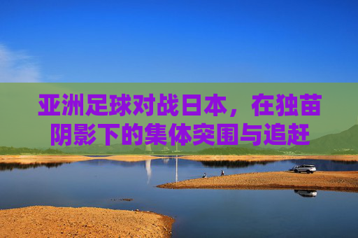 亚洲足球对战日本,在独苗阴影下的集体突围与追赶