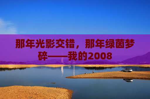 那年光影交错,那年绿茵梦碎——我的2008