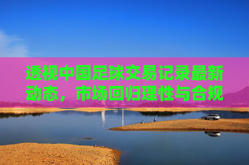 透视中国足球交易记录最新动态,市场回归理性与合规监管的双重奏