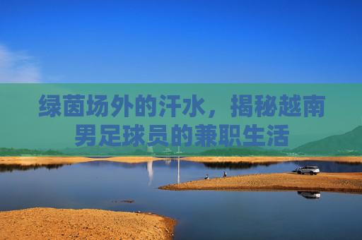 绿茵场外的汗水,揭秘越南男足球员的兼职生活