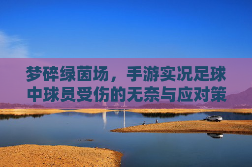梦碎绿茵场,手游实况足球中球员受伤的无奈与应对策略