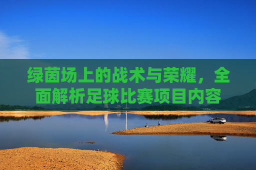 绿茵场上的战术与荣耀,全面解析足球比赛项目内容