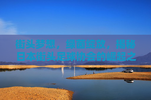街头梦想,绿茵绽放,揭秘日本街头足球协会的崛起之路