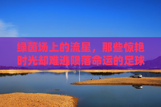 绿茵场上的流星，那些惊艳时光却难逃陨落命运的足球天才