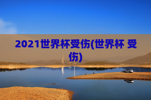 2021世界杯受伤(世界杯 受伤)