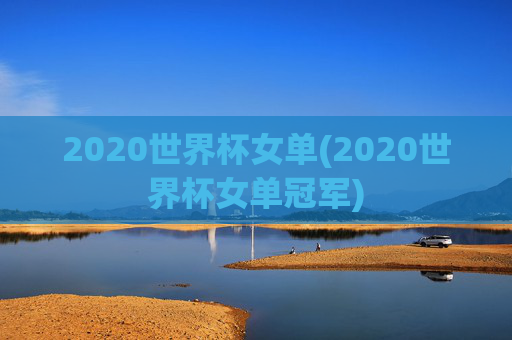 2020世界杯女单(2020世界杯女单冠军)