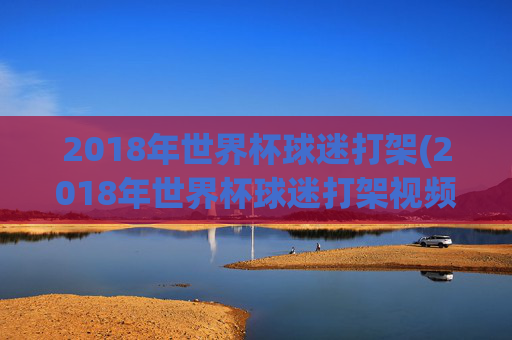 2018年世界杯球迷打架(2018年世界杯球迷打架视频)