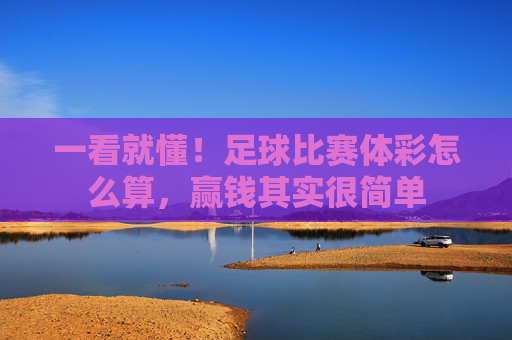 一看就懂！足球比赛体彩怎么算，赢钱其实很简单