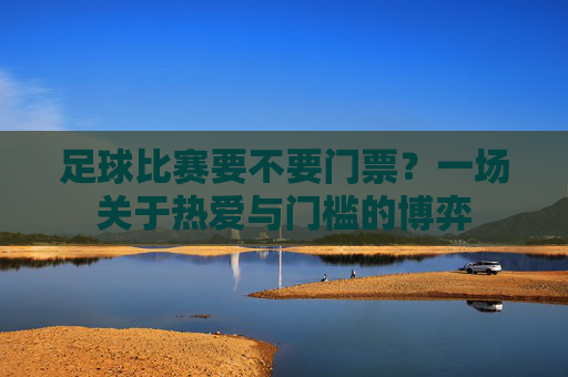 足球比赛要不要门票？一场关于热爱与门槛的博弈