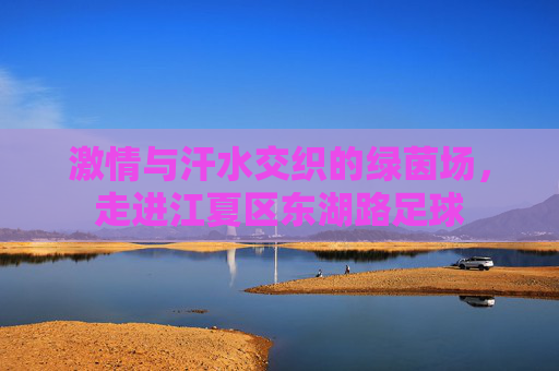激情与汗水交织的绿茵场,走进江夏区东湖路足球