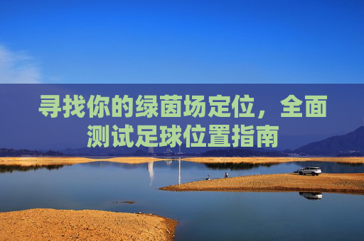 寻找你的绿茵场定位,全面测试足球位置指南