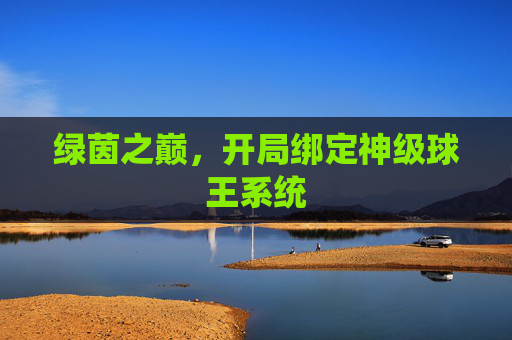 绿茵之巅，开局绑定神级球王系统