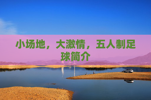 小场地,大激情,五人制足球简介