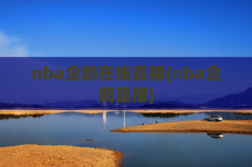 nba企鹅在线直播(nba企鹅直播)